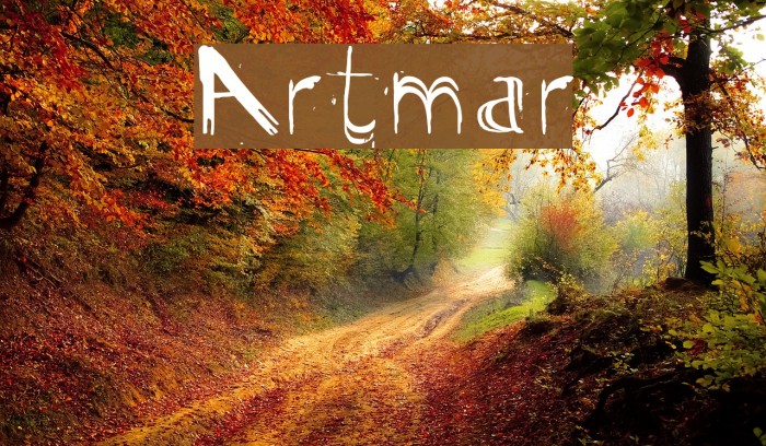 Artmar Font examples