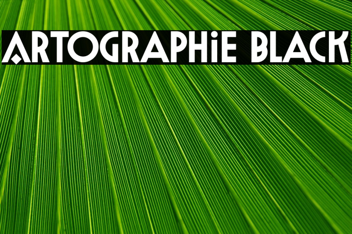 Artographie Black Example 1