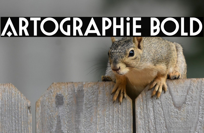 Artographie Bold Example 2