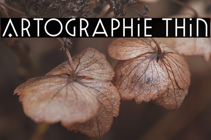 Artographie Thin Example 3