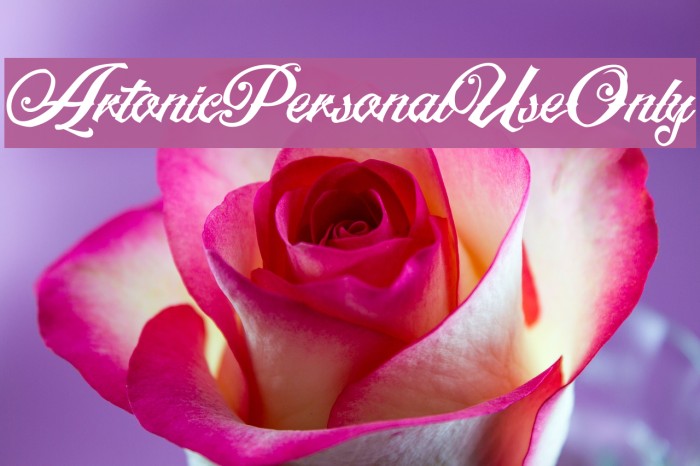 ArtonicPersonalUseOnly Font examples