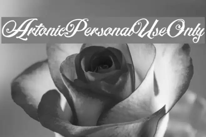 ArtonicPersonalUseOnly Font examples
