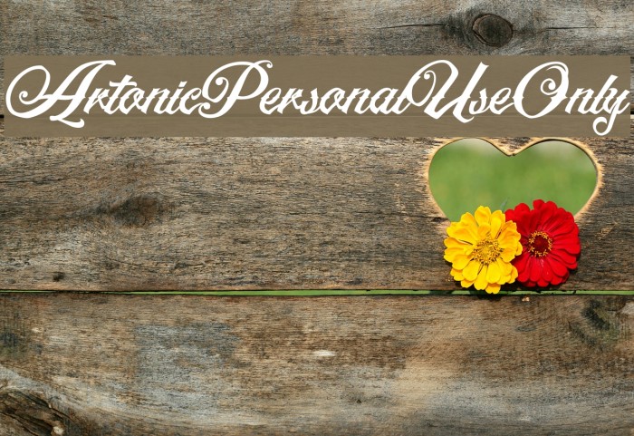 ArtonicPersonalUseOnly Font examples