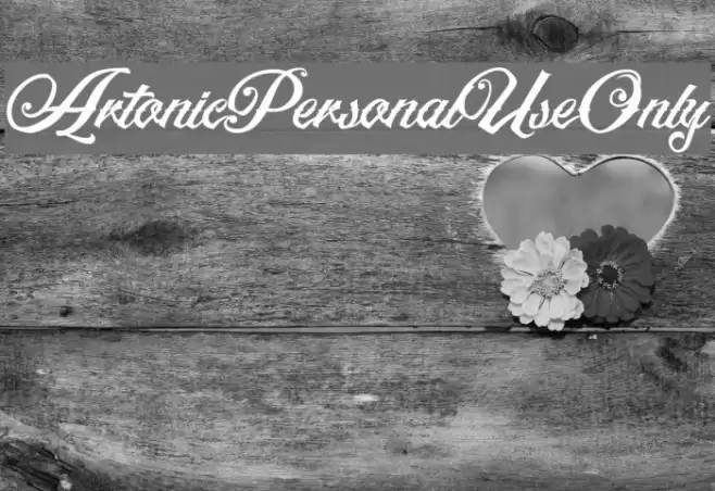 ArtonicPersonalUseOnly Font examples