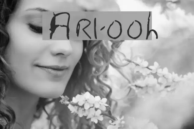 Artooh Example 1