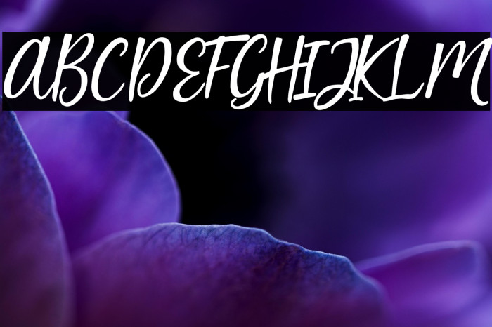 Artopyl Demo Example 1