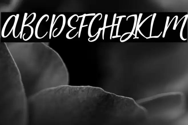 Artopyl Demo Font examples