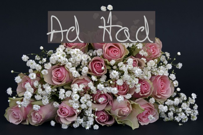 Artskyd Hand Font examples