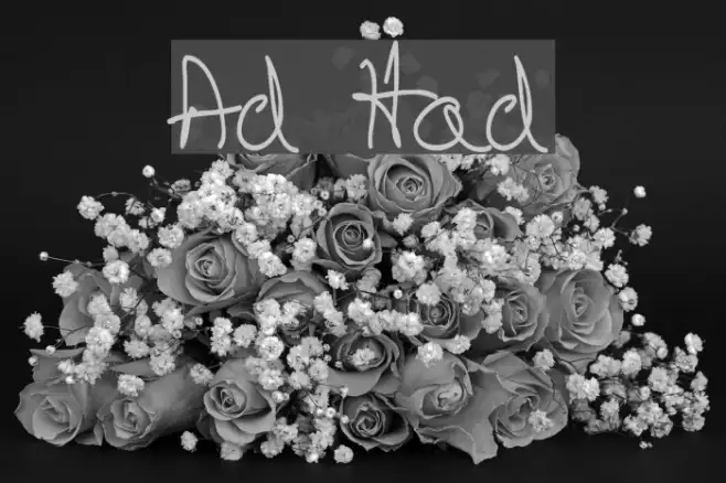 Artskyd Hand Example 1