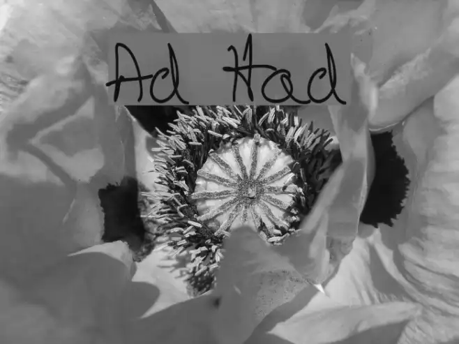 Artskyd Hand Example 3