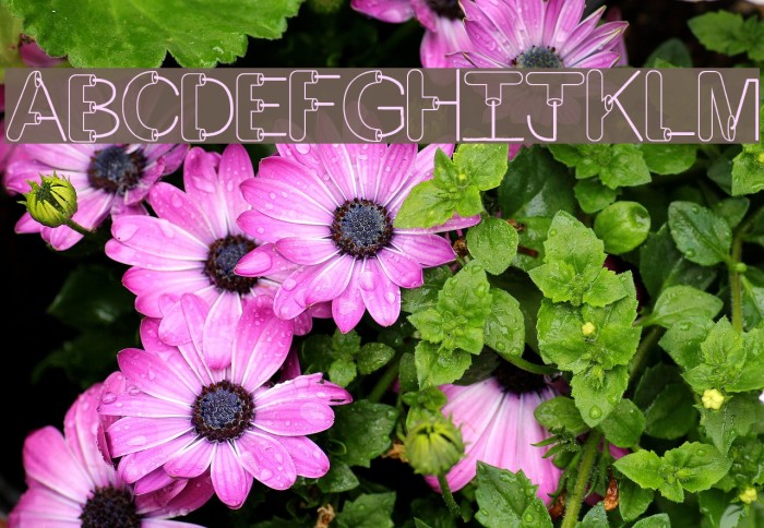 Artsy Fartsy Font examples
