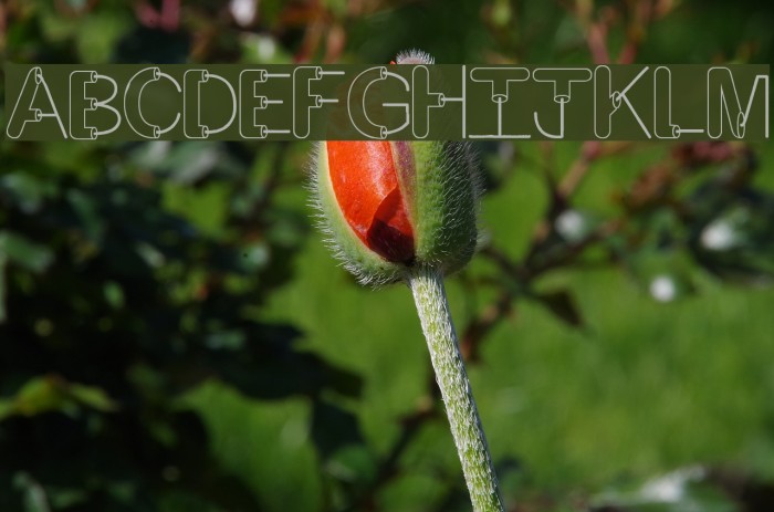Artsy Fartsy Font examples