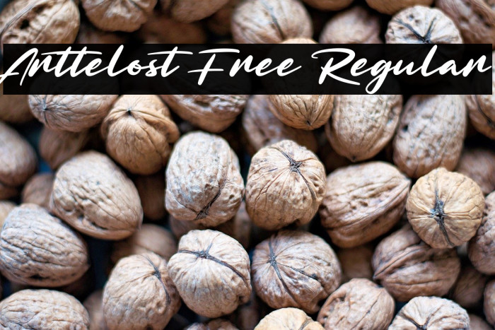 Arttelost Free Regular Example 2