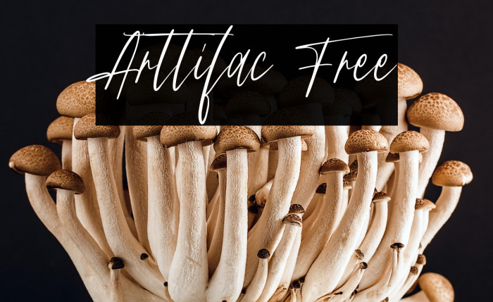 Arttifac Free Example 1