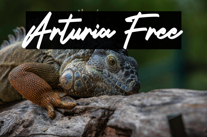 Arturia Free Example 1