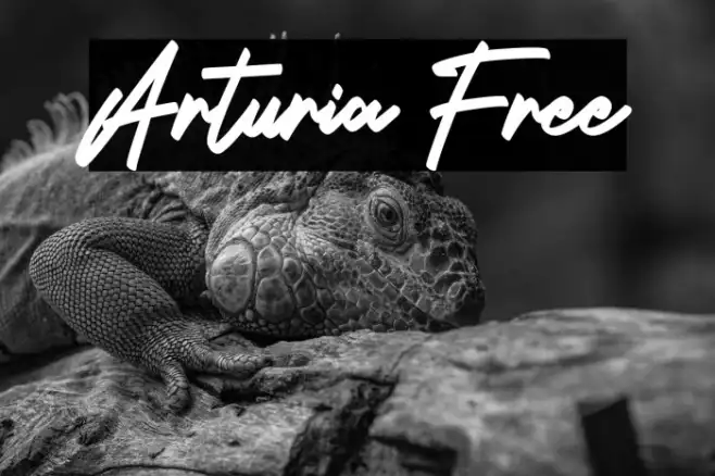Arturia Free Example 1