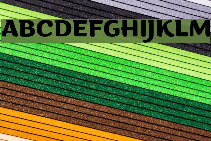 Arturo Trial Bold Example 1