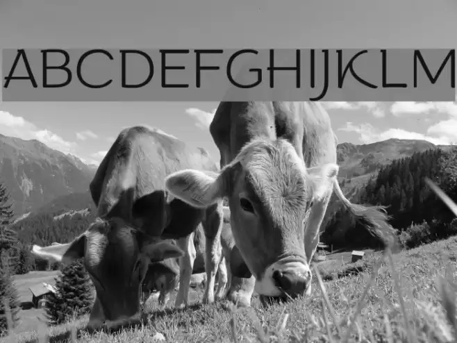 Arturo Trial ExtraLight Font examples