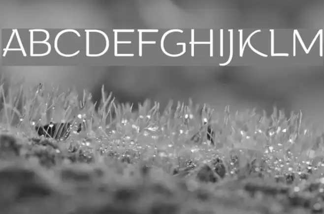 Arturo Trial ExtraLight Font examples