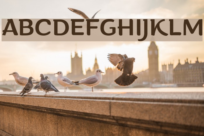 Arturo Trial Regular Font examples