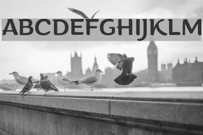 Arturo Trial Regular Font examples