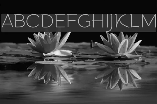 Arturo Trial Thin Font examples