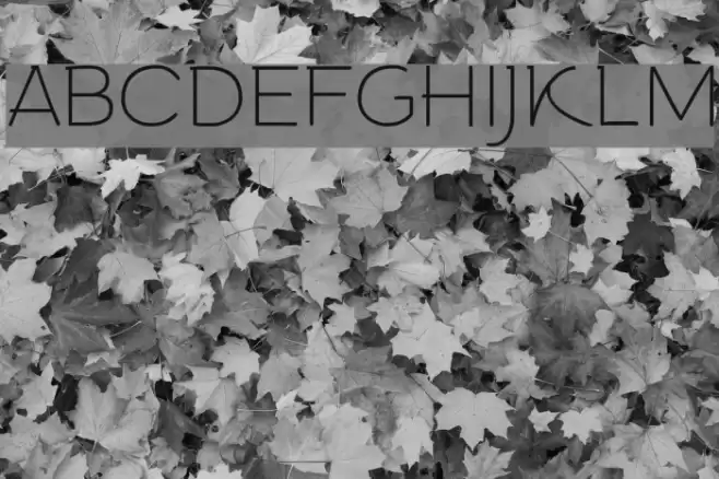 Arturo Trial Thin Font examples