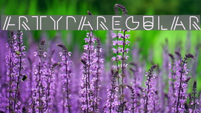 Artypa-Regular Font examples