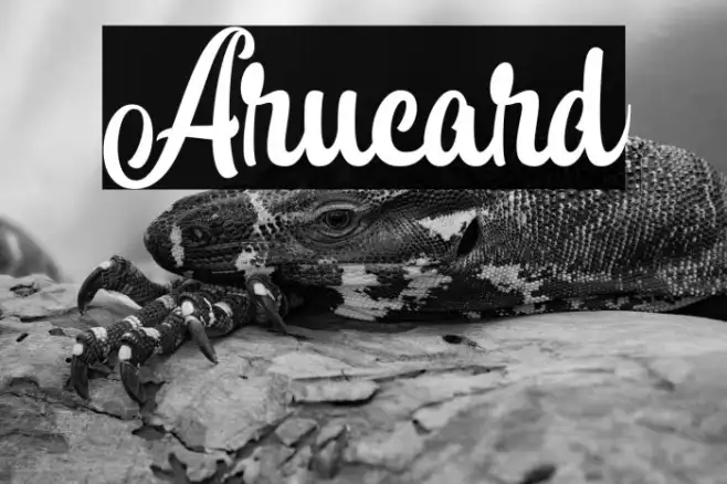 Arucard Example 1