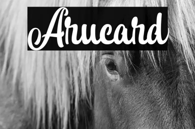 Arucard Example 2