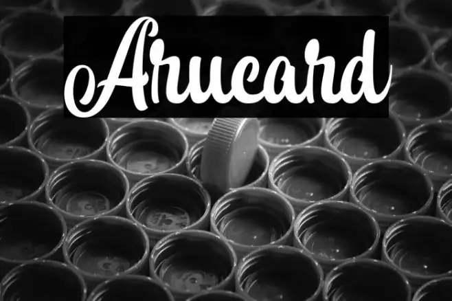 Arucard Example 3