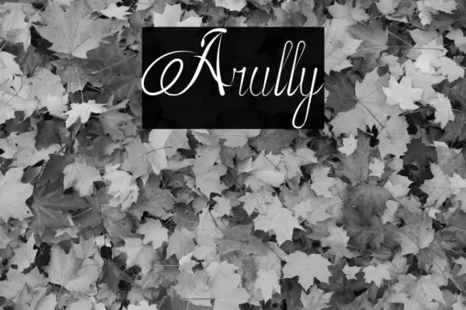 Arully Example 2
