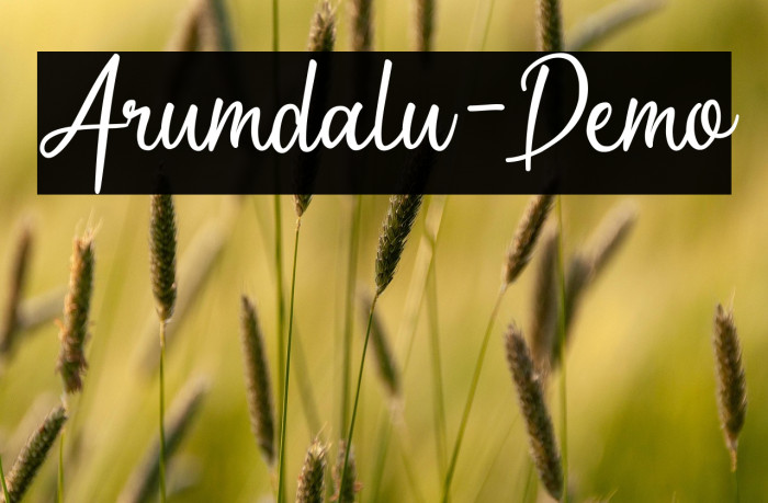 Arumdalu-Demo Example 1