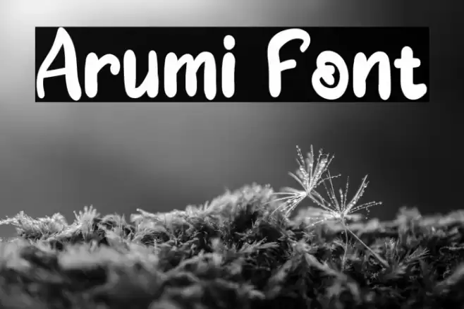 Arumi Font examples