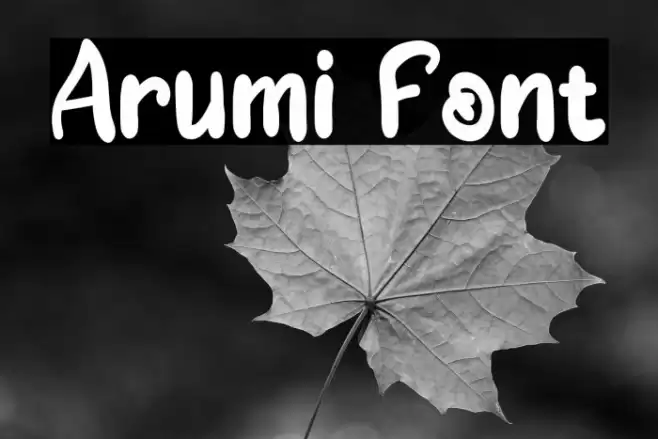 Arumi Font examples
