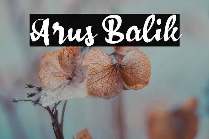 Arus Balik Example 2