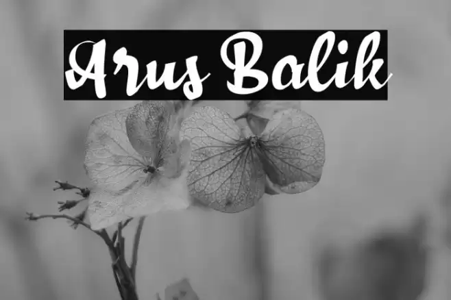 Arus Balik Font examples