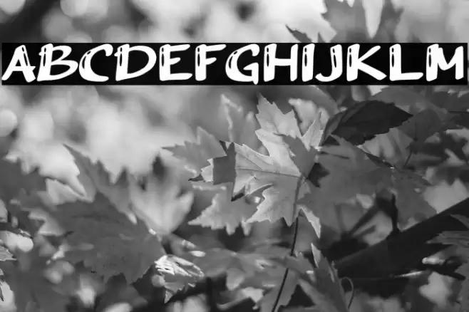 Arush Shiny Font examples