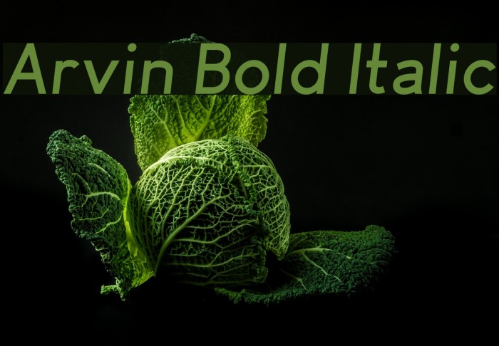 Arvin Bold Italic Font examples