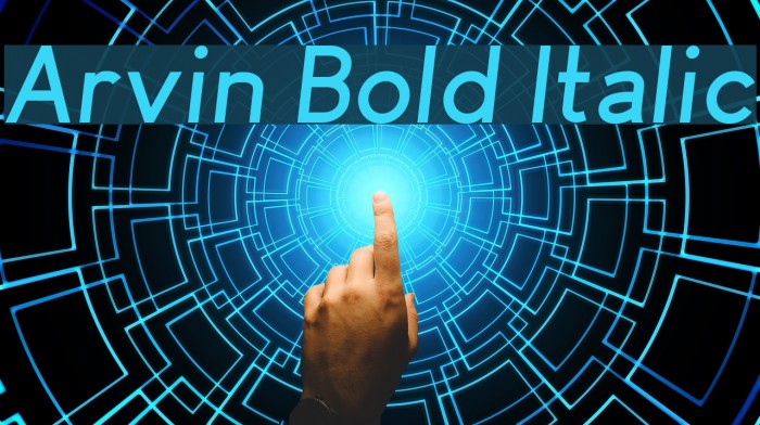 Arvin Bold Italic Font examples