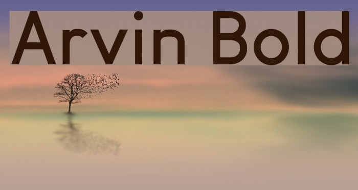 Arvin Bold Font examples