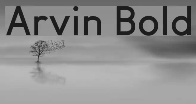 Arvin Bold Example 3
