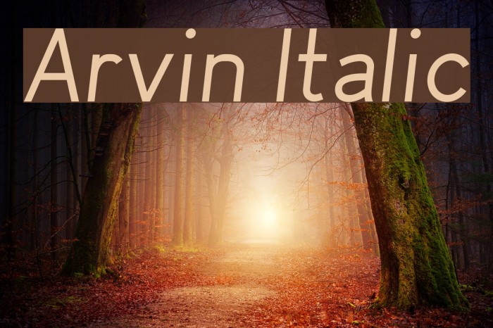 Arvin Italic Font examples