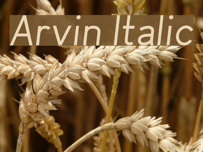 Arvin Italic Font examples