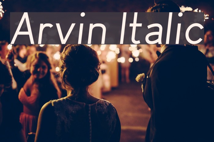 Arvin Italic Font examples