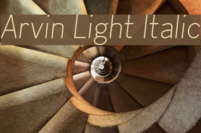 Arvin Light Italic Font examples