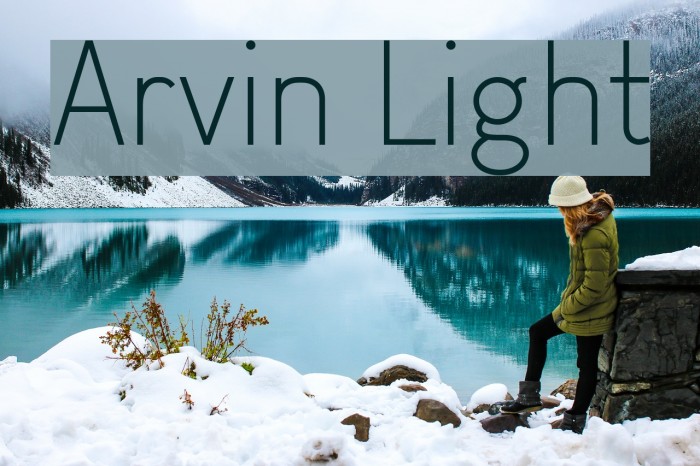 Arvin Light Font examples