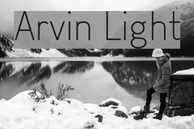 Arvin Light Example 1