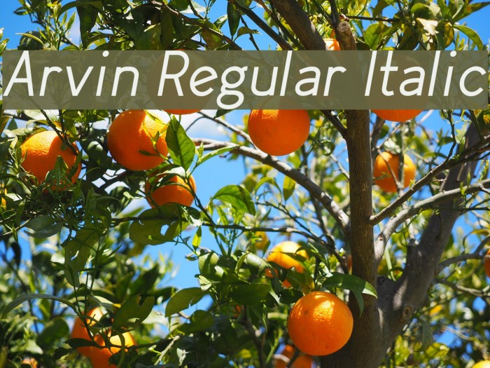 Arvin Regular Italic Font examples