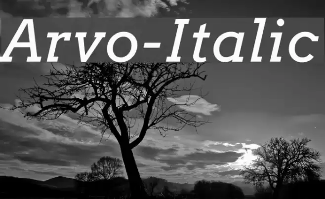Arvo-Italic Font examples